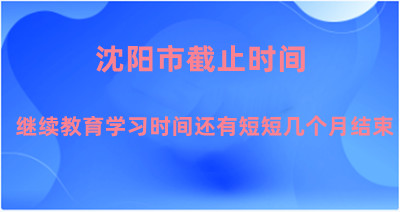 沈陽市繼續教育網上學習的培訓入口 沈陽市繼續教育網上學習的培訓入口